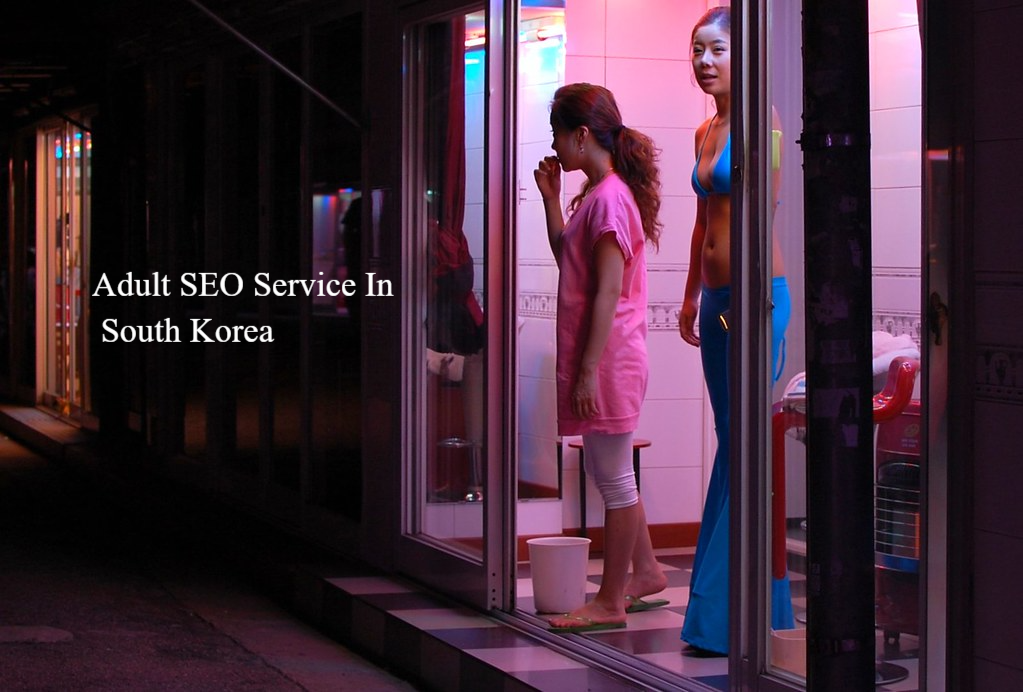 Adult SEO Service In South Korea